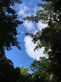 118387225_330998238216812_2862857848928910863_n.jpg
