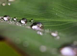 drops-932934_960_720.jpg