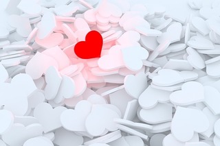 heart-2902953_640.jpg