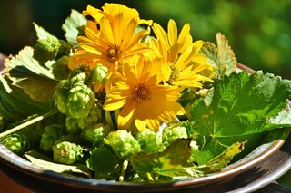 hops-2659993_1920.jpg
