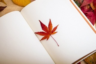 maple-leaf-g42c06071a_640.jpg