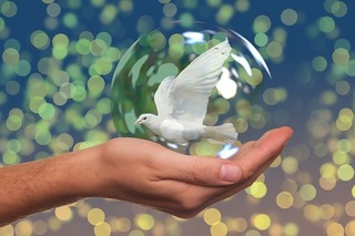 peace-dove-2489589_640.jpg