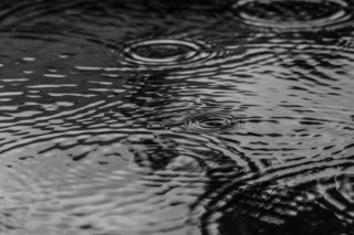 puddle-2584377_1280.jpg
