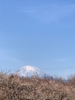 u1.jpg
